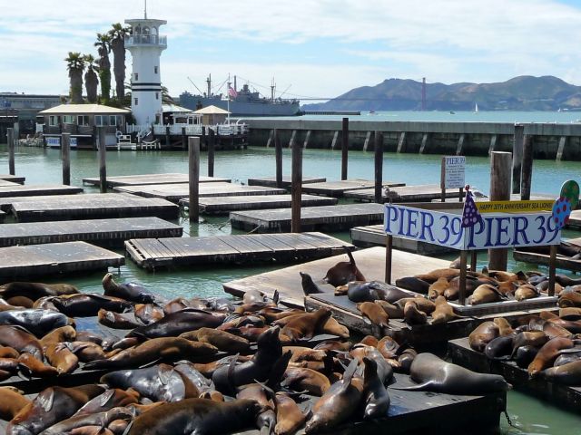 Usa-selfdrive Ontdek het zuidwesten