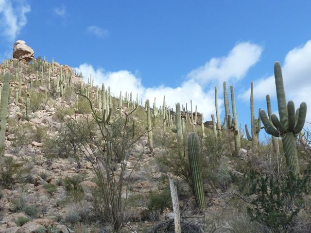 Usa-selfdrive Ontdek het zuidwesten